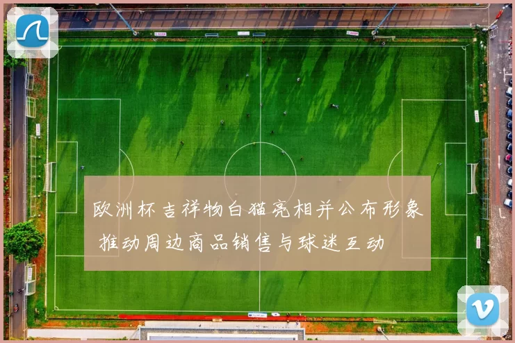 欧洲杯吉祥物白猫亮相并公布形象 推动周边商品销售与球迷互动