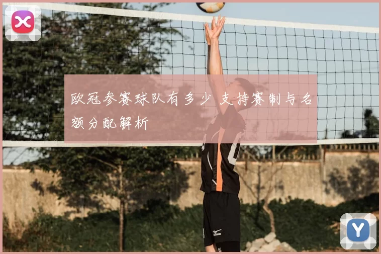 欧冠参赛球队有多少 支持赛制与名额分配解析