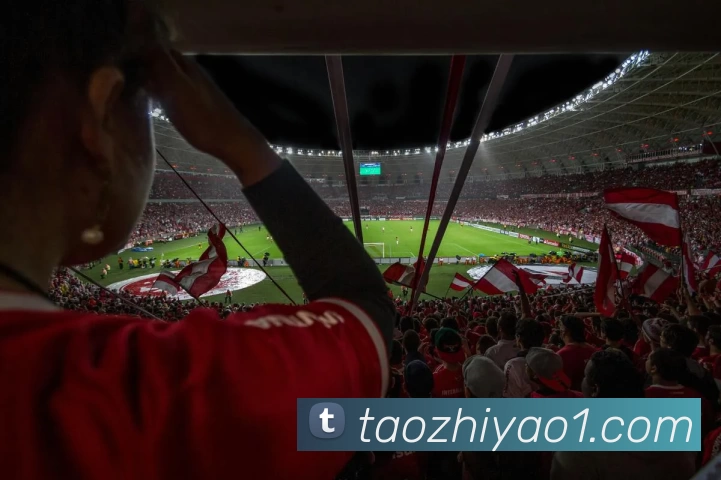 多媒体互动体验